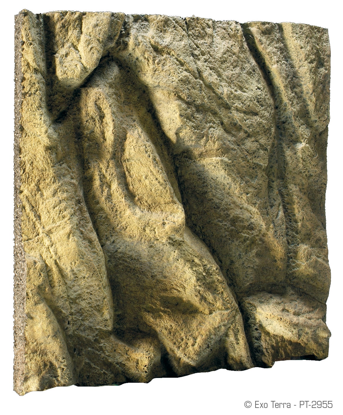 ExoTerra bakgrund 45x45cm - 2