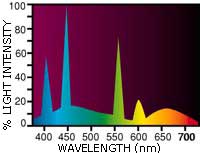 Lysrör Flora-Glo T8 - 2