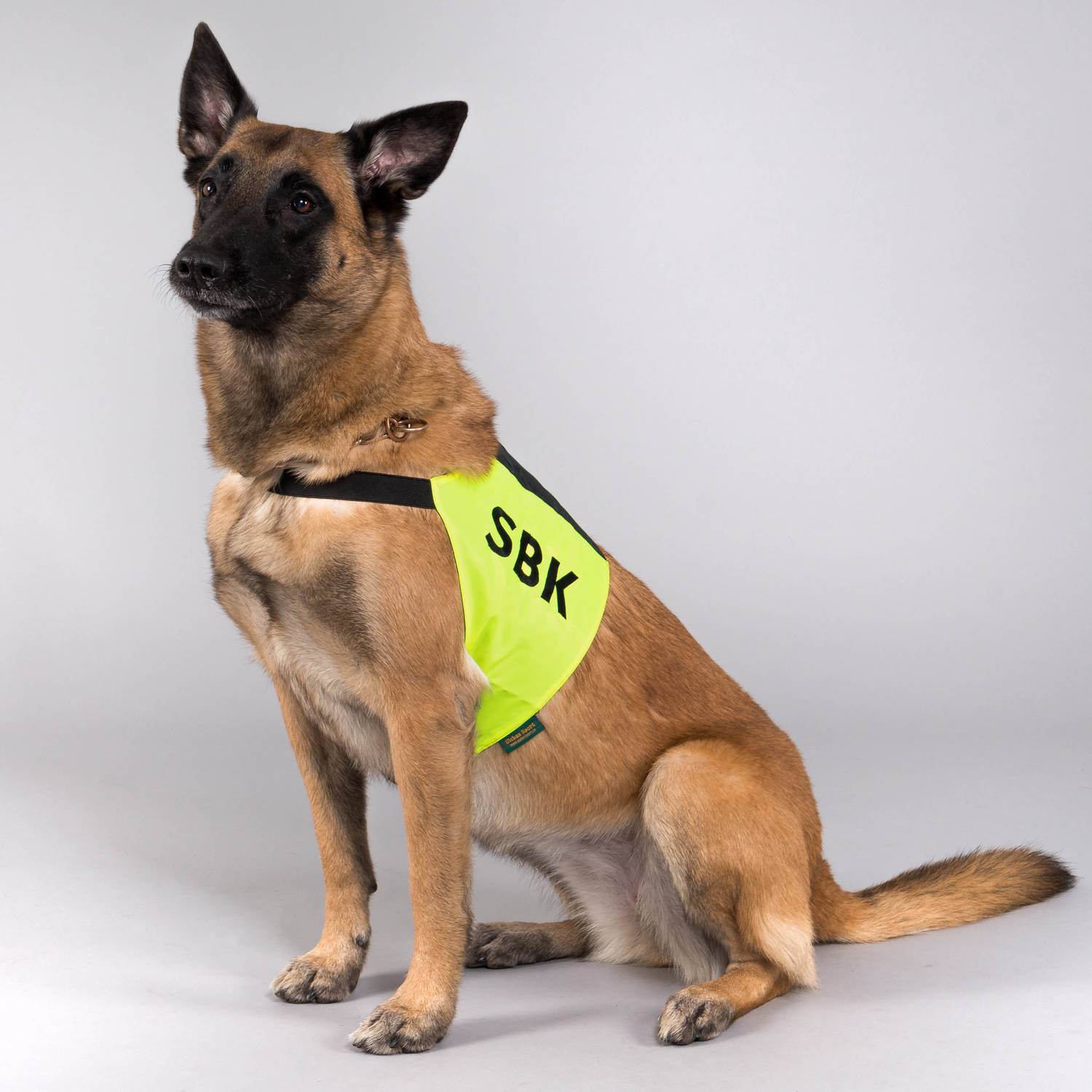 Tjänstetecken/SBK Gul