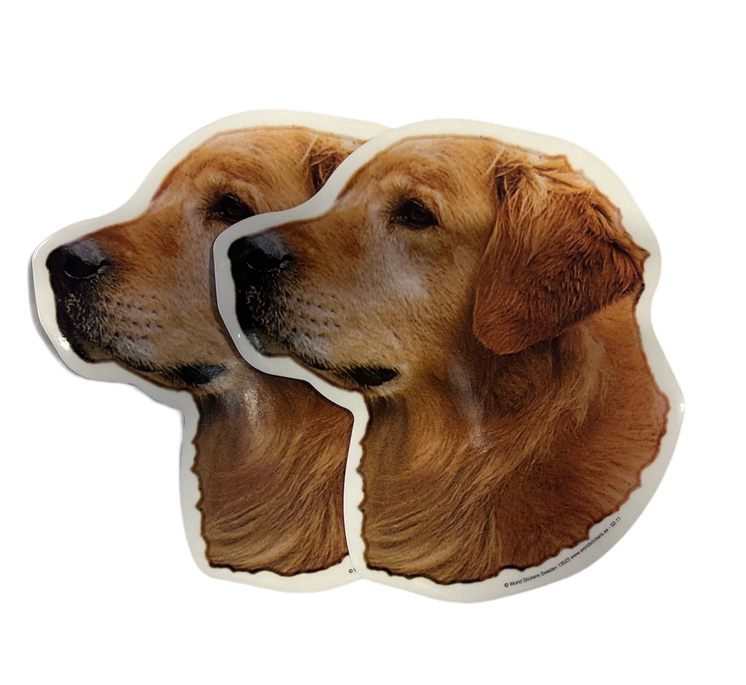 Dekal Hund medium 2-pack - Golden Retriever huvud