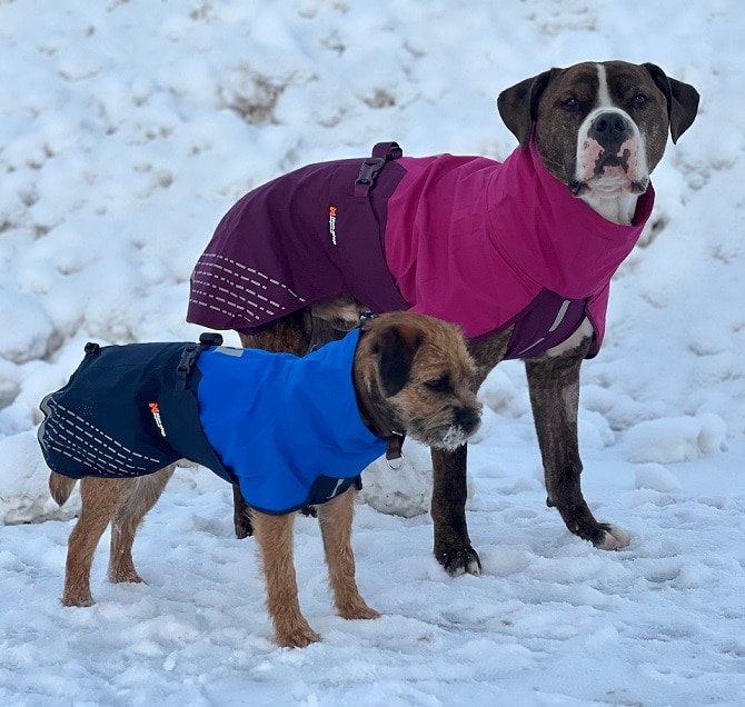 Non-Stop Fjord Raincoat Blue, flera storlekar - 2