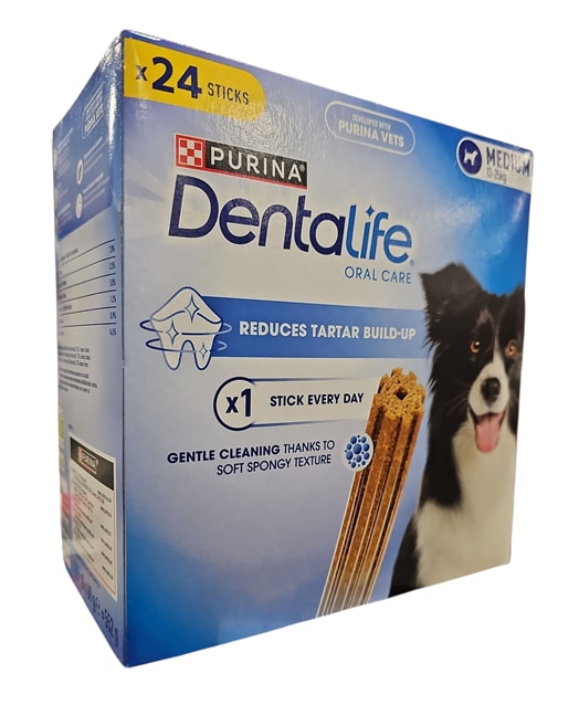 Dentalife Medium 24-pack