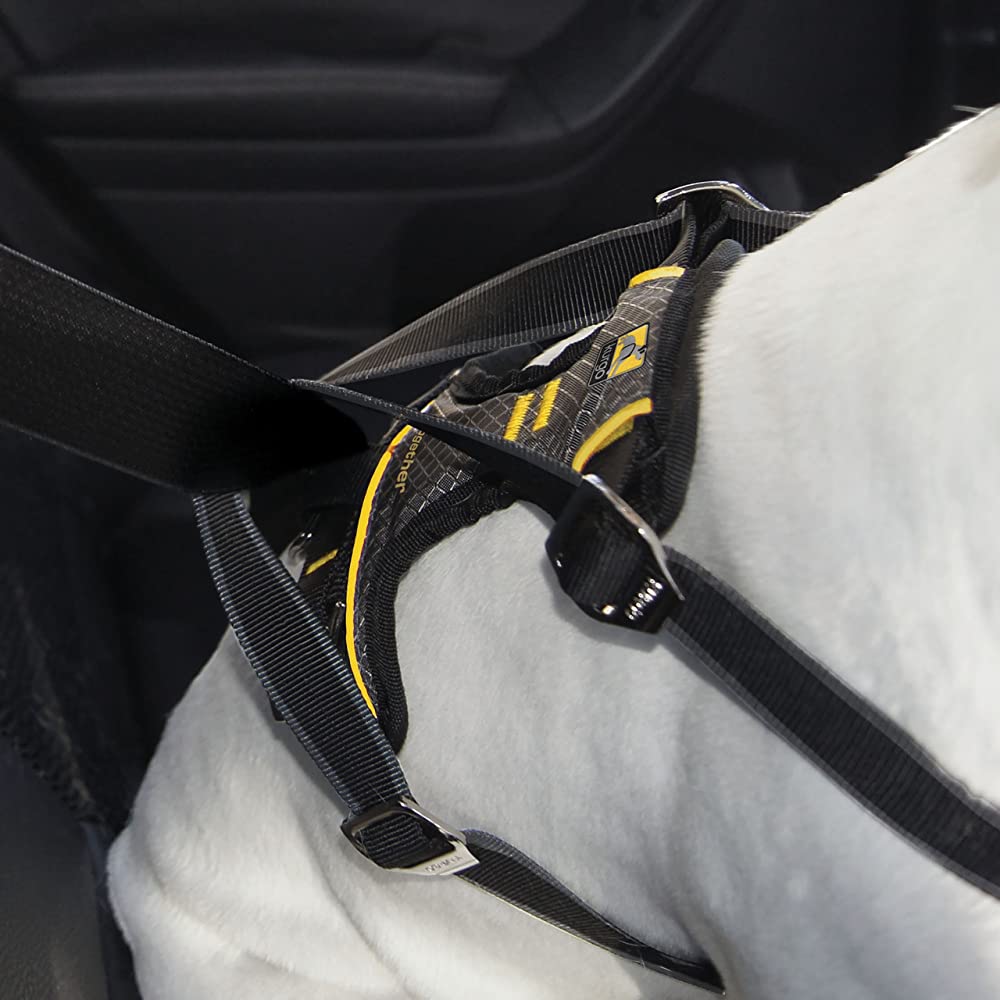 Bilsele krocktestad Kurgo Impact - 2