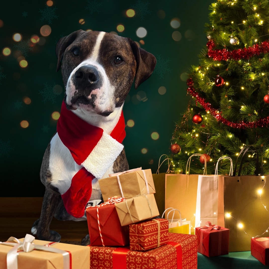 Julhalsduk - flera storlekar - 2