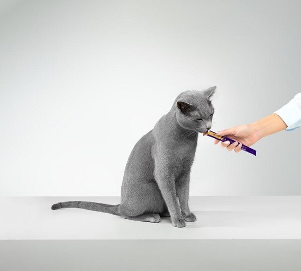 Feliway Happy Snack 6-p