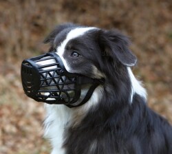 Munkorg plast svart Trixie - 2