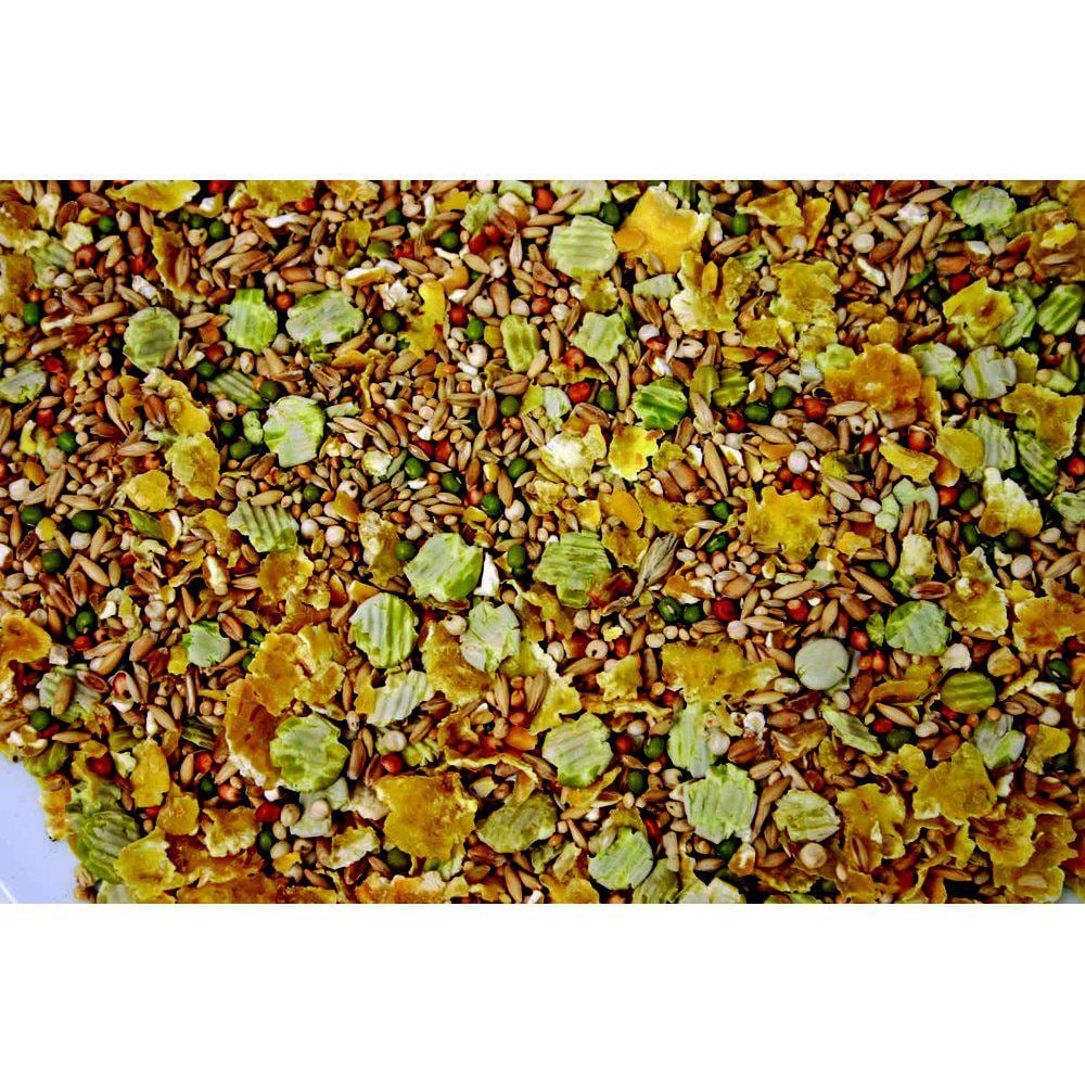 Mus- och råttfröblandning 0,5kg