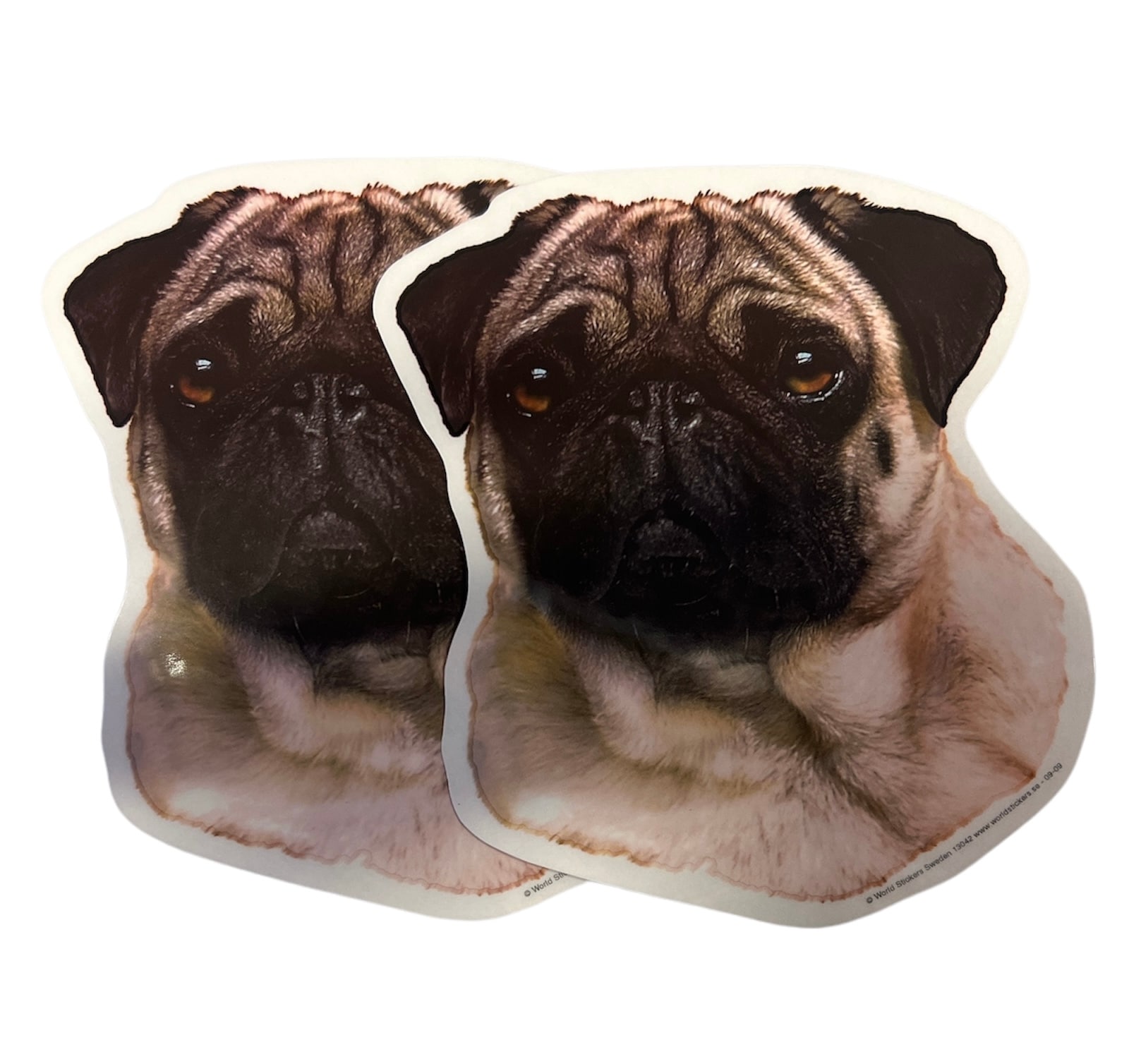 Dekal Hund medium 2-pack - Mops huvud