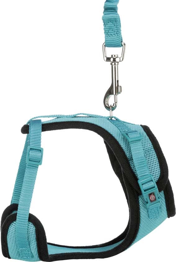 Y-sele, katt, med elastiskt koppel - 2