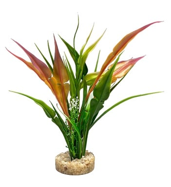 Plastväxt Anubias 22cm