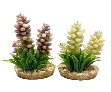 Plastväxt Nevada 10-20cm - 2