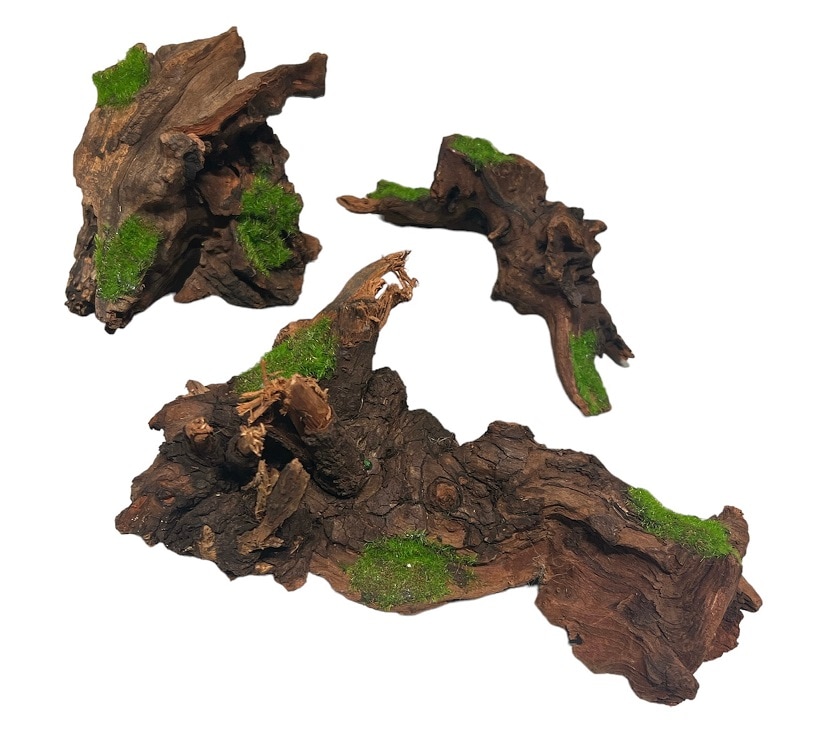 Akvariedekoration Kipouss Rot Small med växtfrön - 2