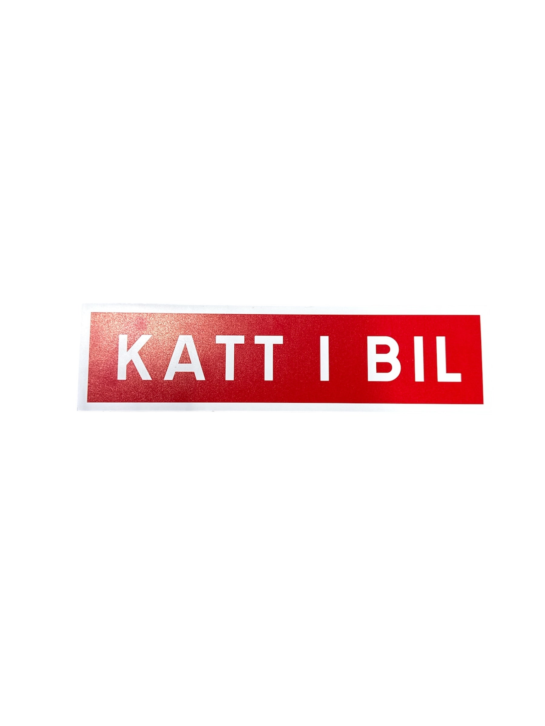 Katt i bil