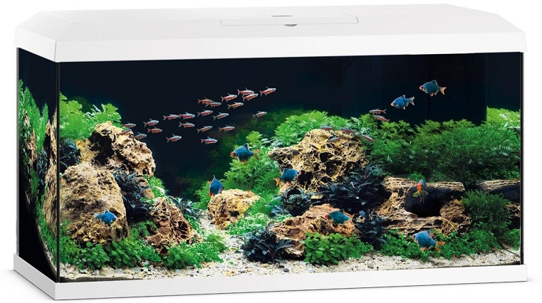 Juwel Primo 110 Vit 2.0