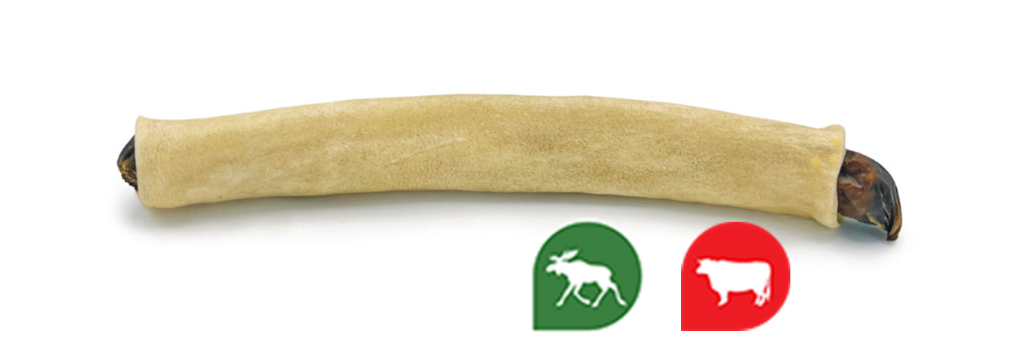 RAUH Moose Bullet ca 19cm