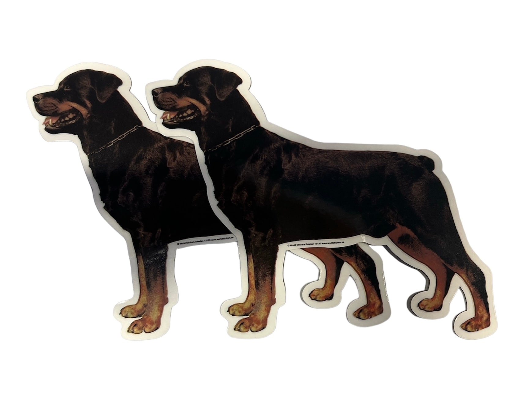 Dekal Hund medium 2-pack - Rottweiler helkropp