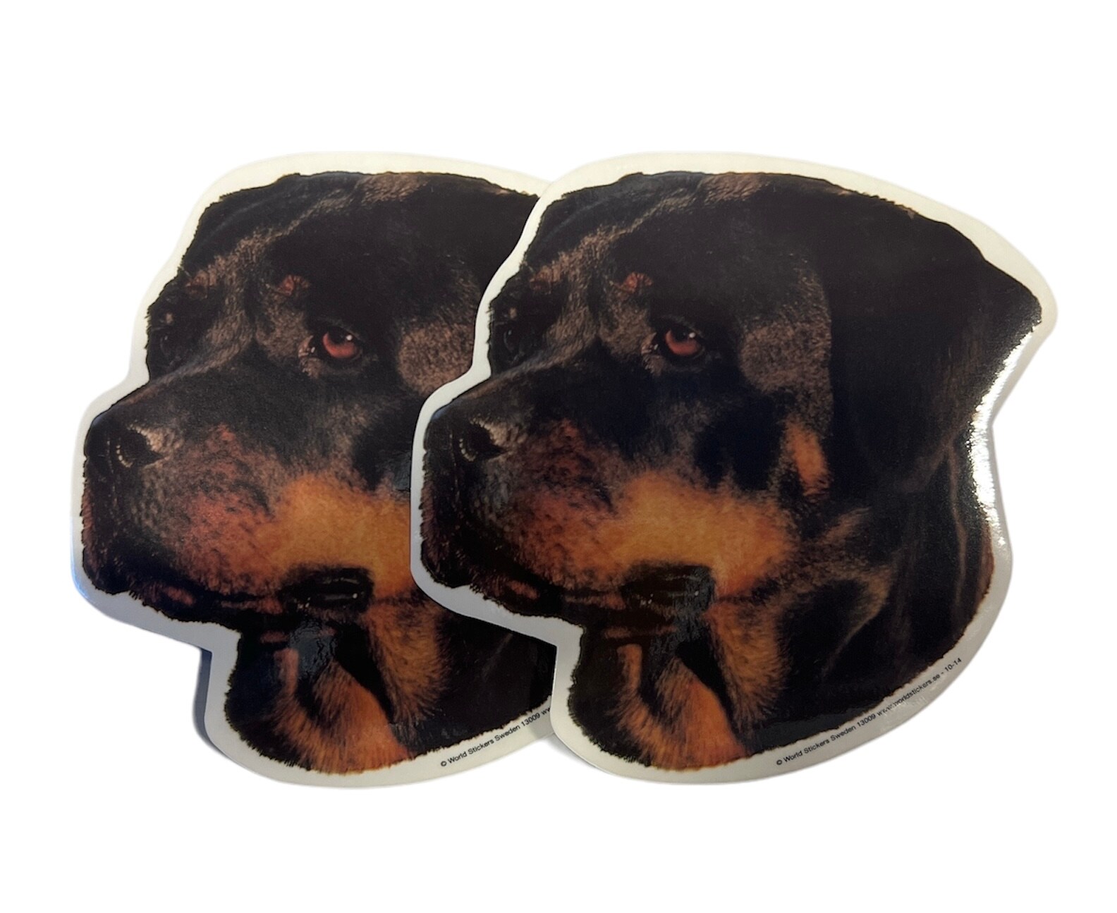 Dekal Hund medium 2-pack - Rottweiler huvud 1