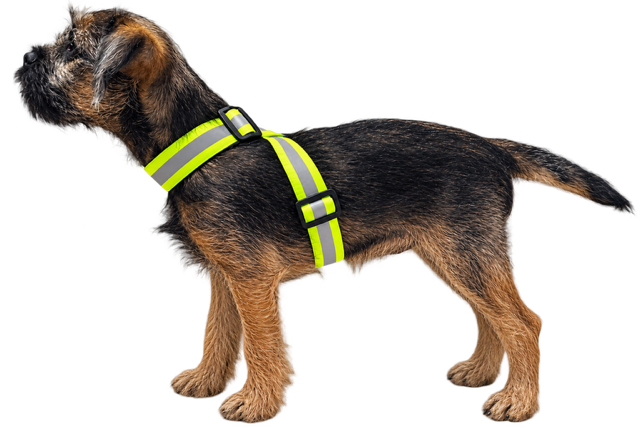 Rukka Note Body Band - Flera Storlekar - 2