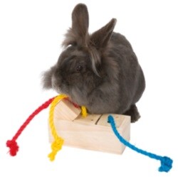 Snack cube, aktivitetslådor - 2