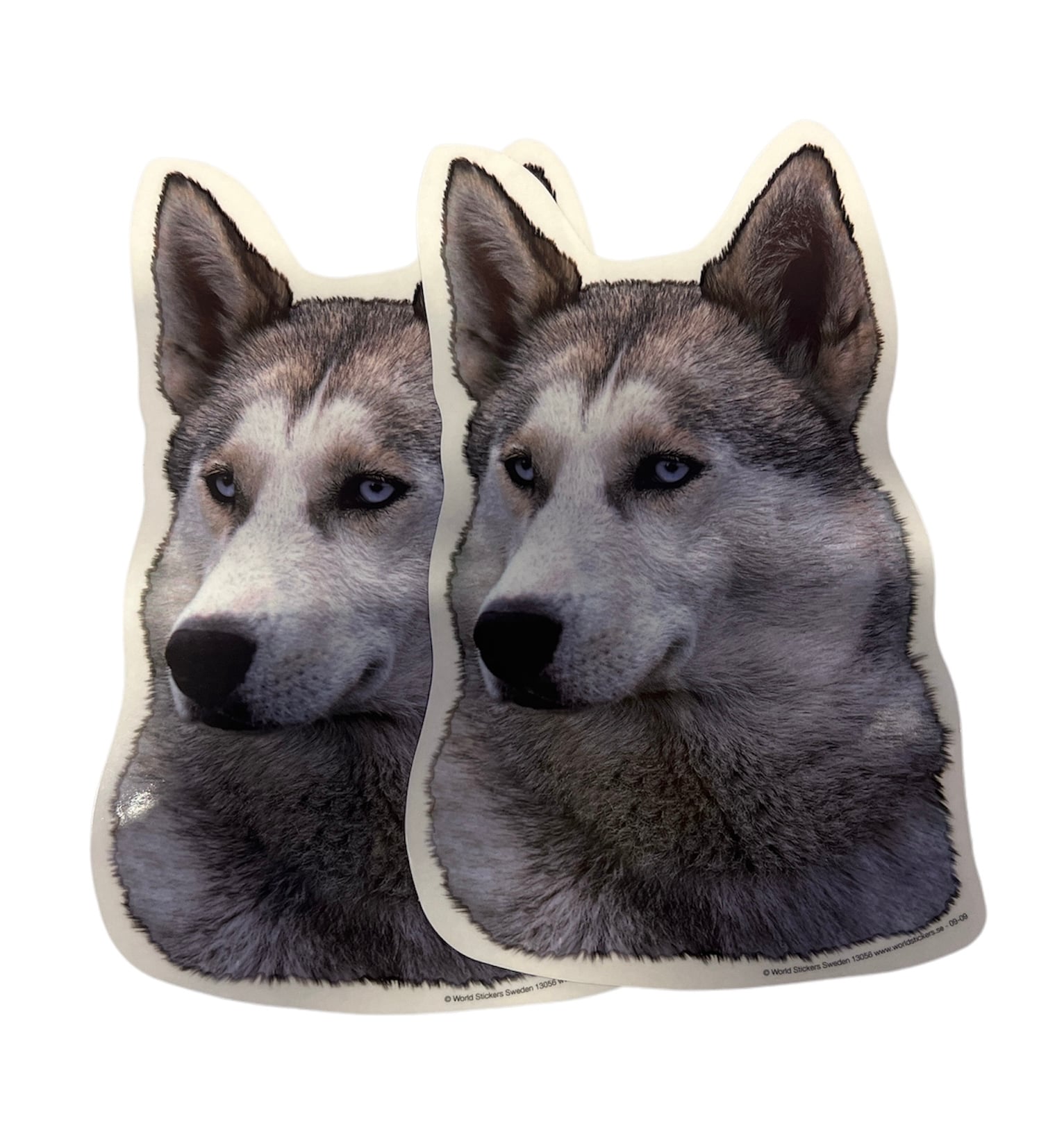 Dekal Hund medium 2-pack - Siberian Husky Grå huvud