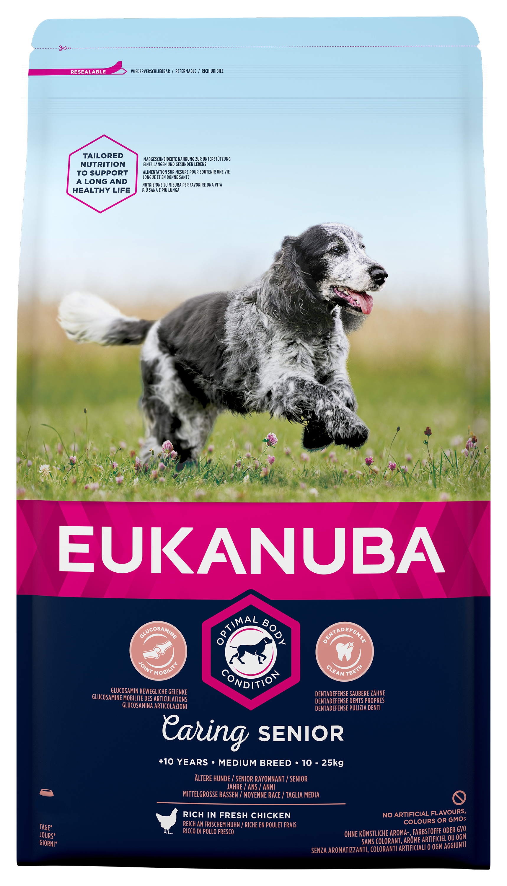 Eukanuba dog Senior medium 15kg