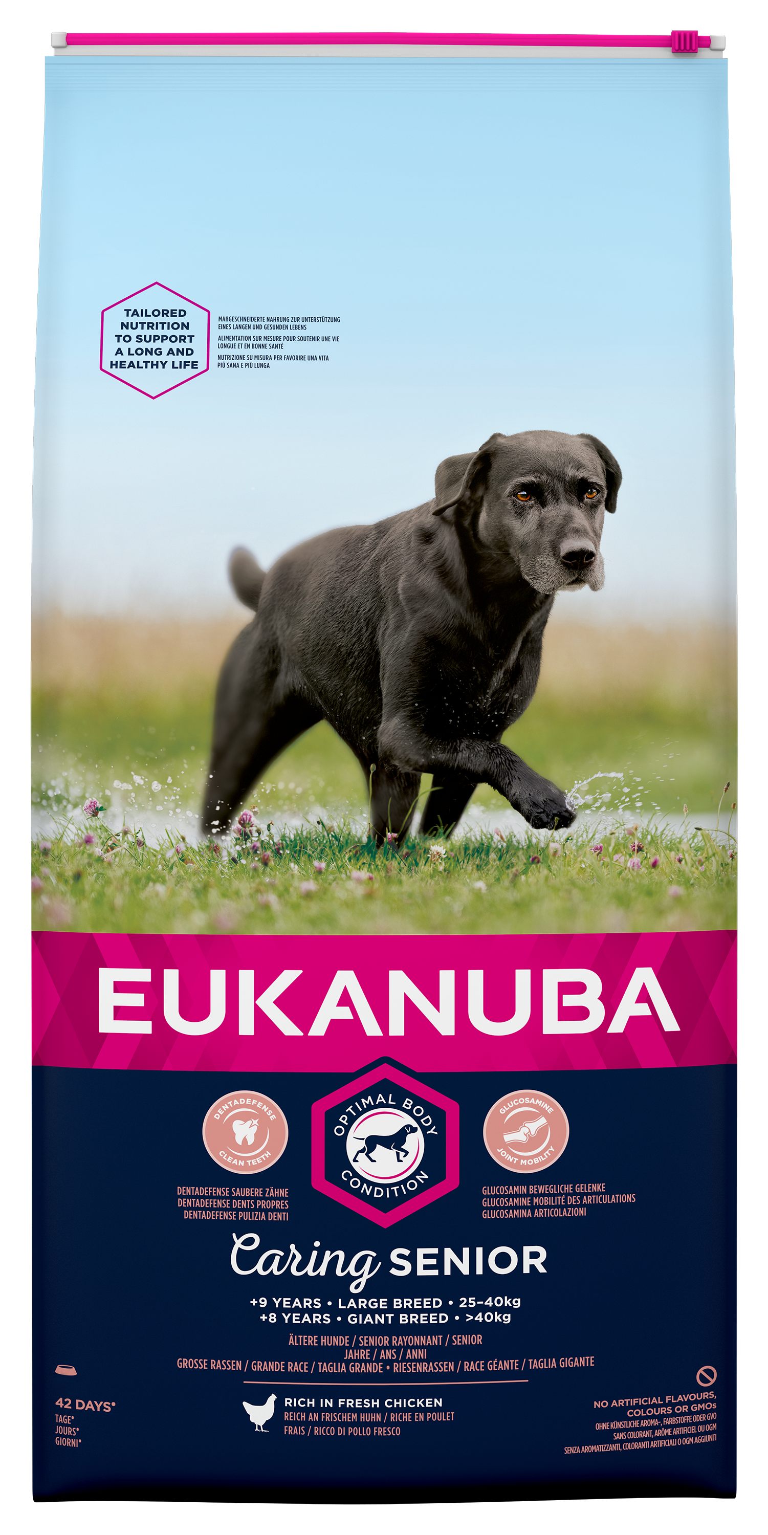 Eukanuba dog Senior large 15kg