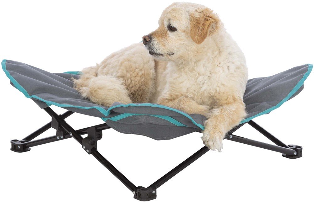 Campingsäng 88x32x88cm mörkgrå/petrol - 2