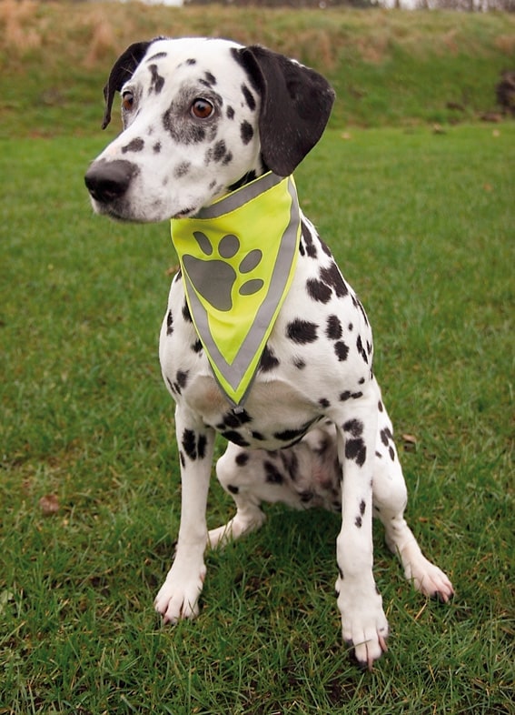 Reflexscarf Trixie (3 storlekar) - 2