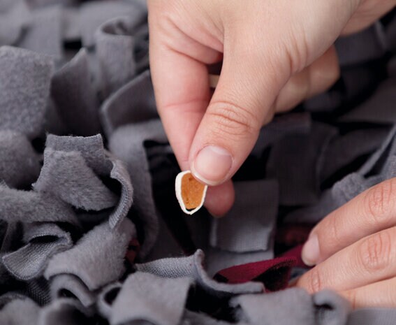 Dog Activty sniffing carpet nivå 1 50x34cm