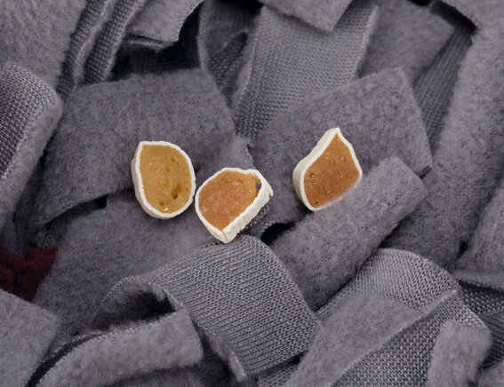 Dog Activty sniffing carpet nivå 1 50x34cm