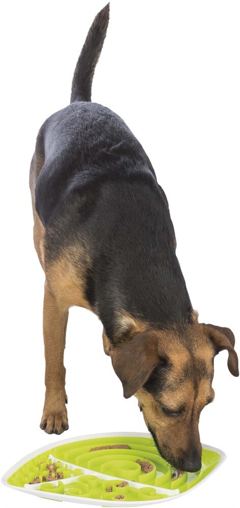 Lick´n snack platts lövformad 28x21cm