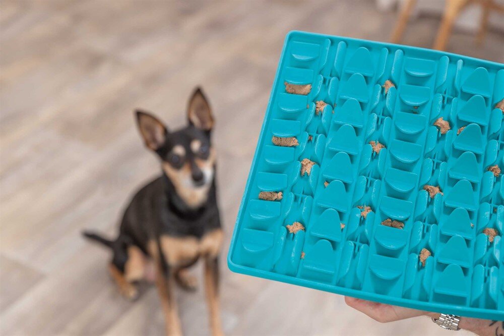 Lick'n snack matta silikon 30cm