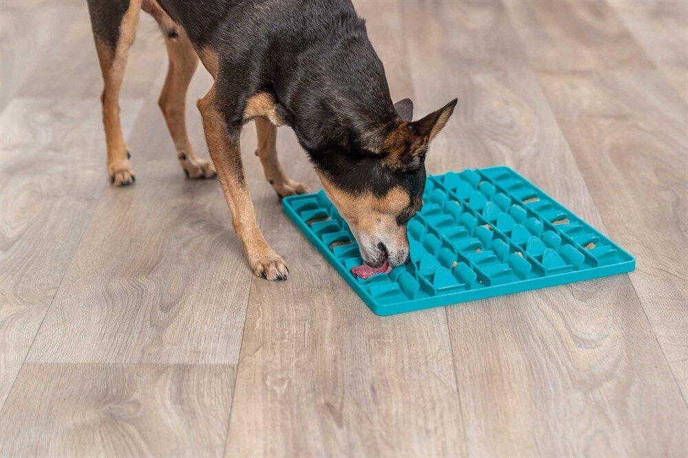 Lick'n snack matta silikon 30cm