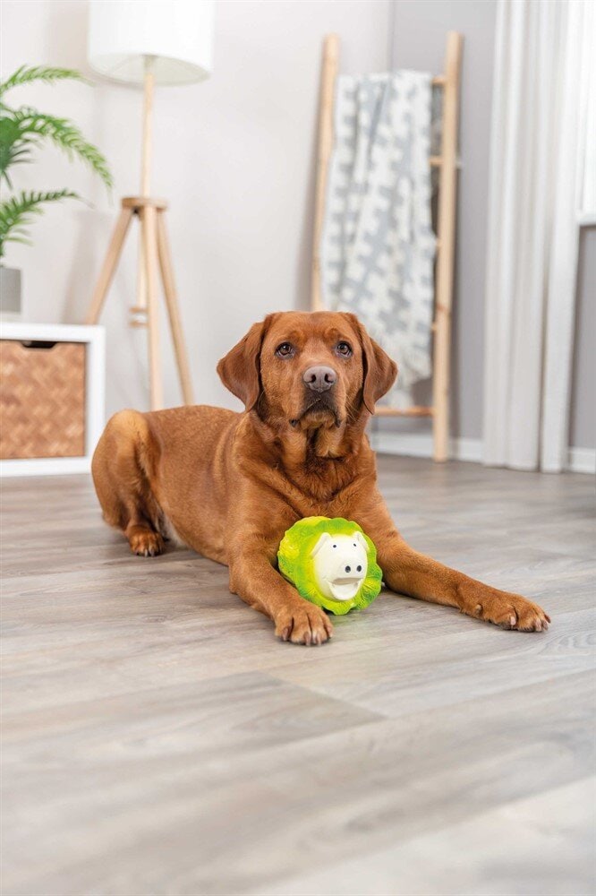 Kålsvin med ljud latex 23cm