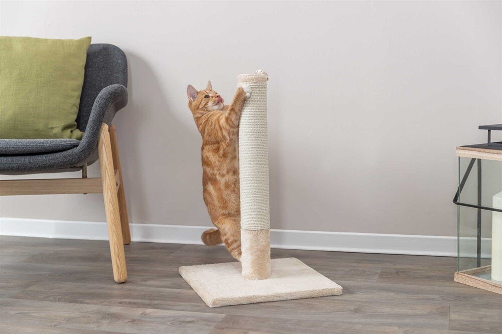 Klöspelare batres beige 62cm