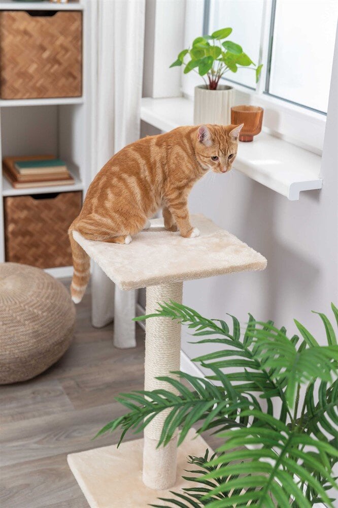 Klöspelare Baena beige 69cm med sittplatta.