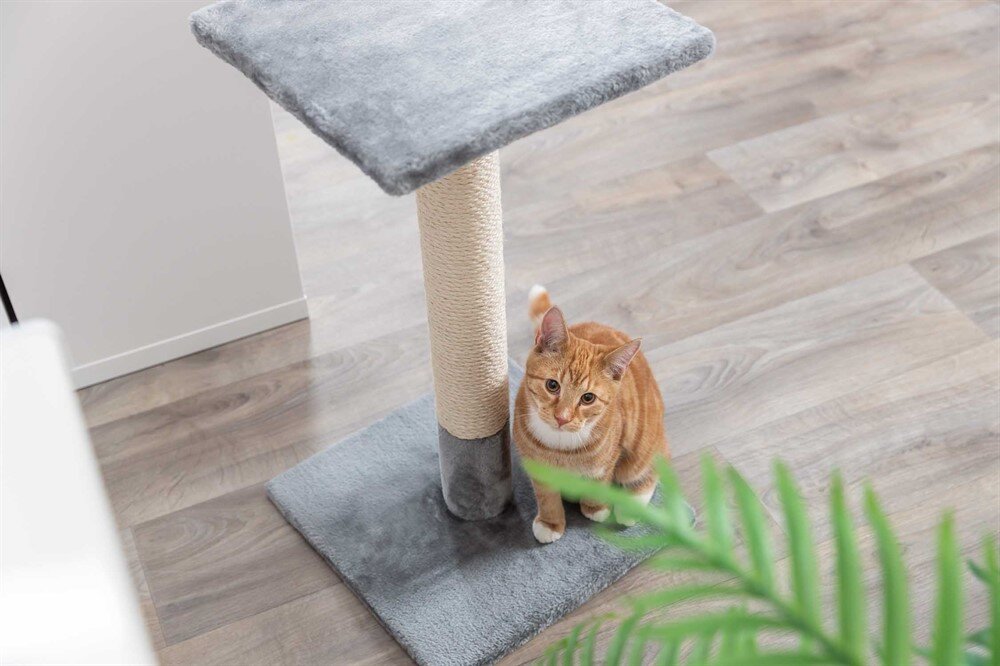 Klöspelare Baena grå 69cm med sittplatta.