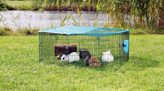 Smådjurshage med skyddsnät 116x38cm kanin o marsvin 