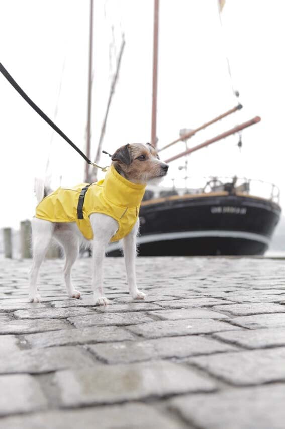 Regntäcke Vimy gul (finns i stl 25-80cm)