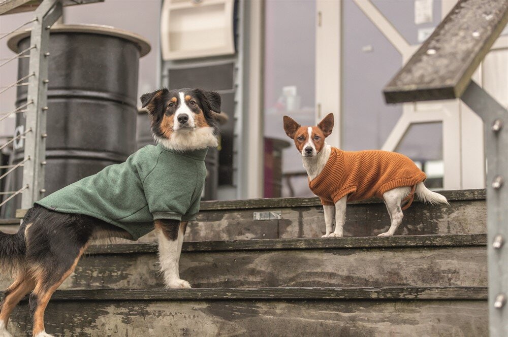 Tröja Berlin Pullover rostbrun (10storlekar)