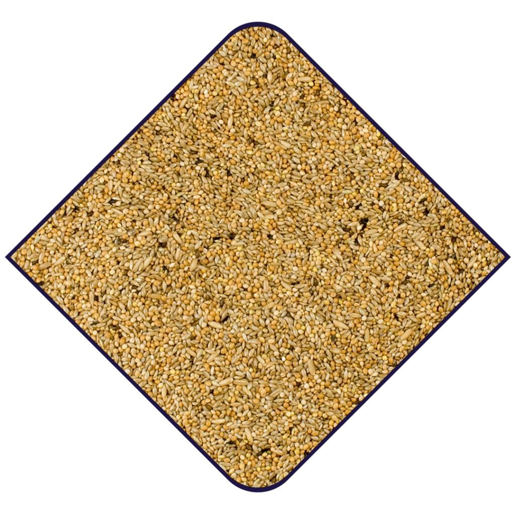 Witte Molen Expert Undulatblandning 1kg (100)