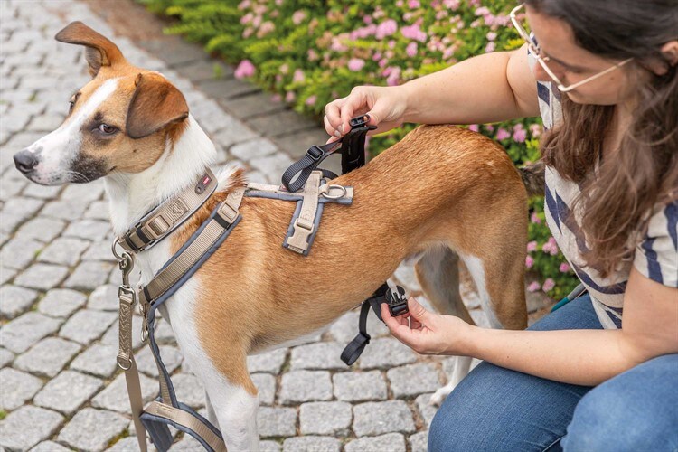 Panic-adapter för sele - Flera Storlekar