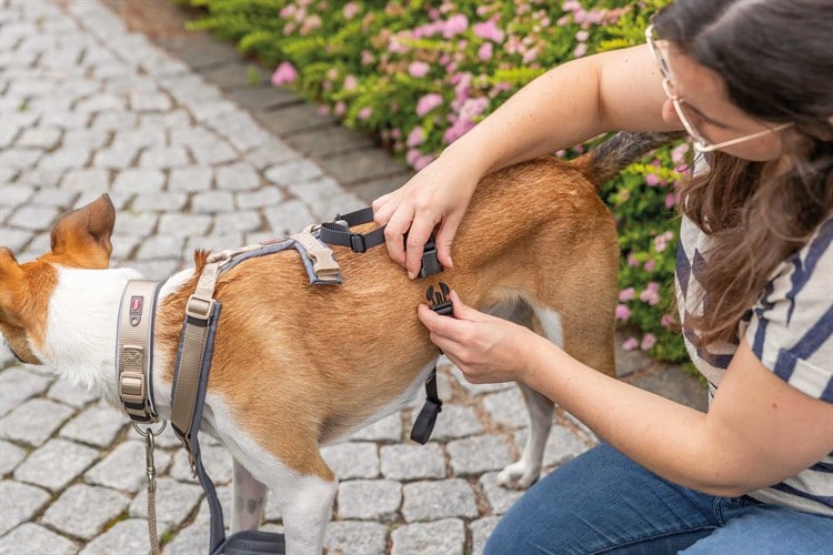 Panic-adapter för sele - Flera Storlekar