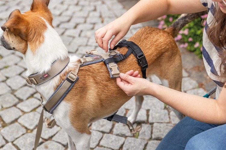 Panic-adapter för sele - Flera Storlekar