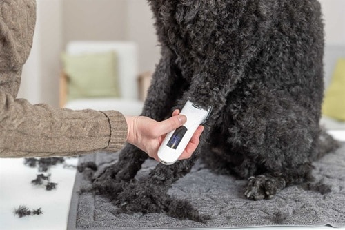 Klippmaskin TR1600 10W Sladdlös