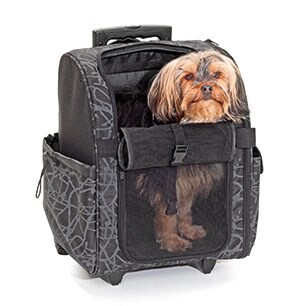 Transportväska svart/grå 32x29x52CM