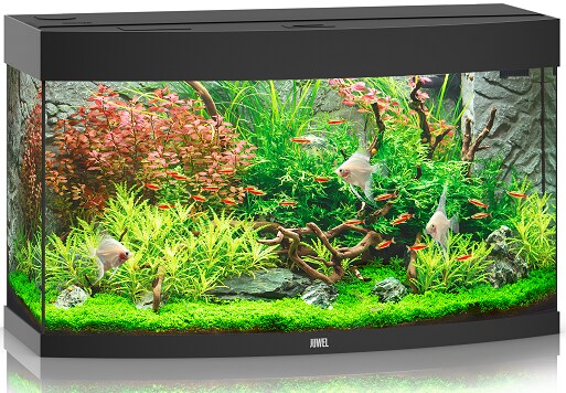 Juwel Vision 180 LED Svart