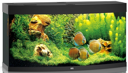 Juwel Vision 260 LED Svart