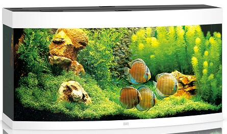 Juwel Vision 260 LED Vit