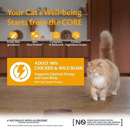 CORE 98% Chicken with Wild Boar 85g